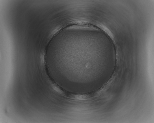 X0000112030105200908171459