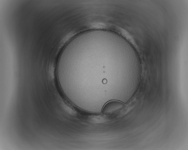 X0000112030106200908171459