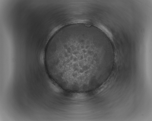 X0000112030107200908171459