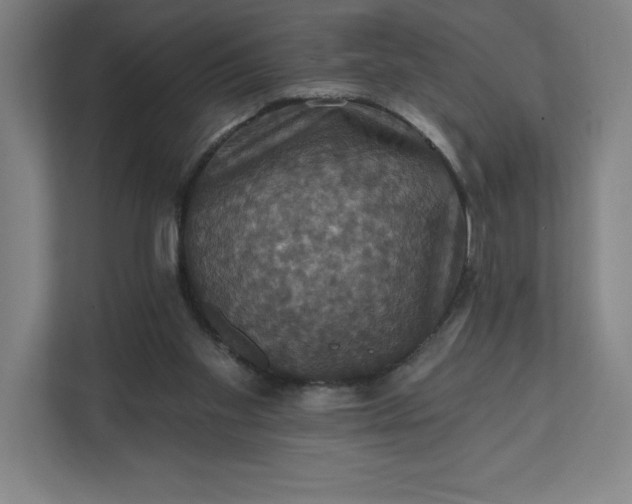 X0000112030109200908171459