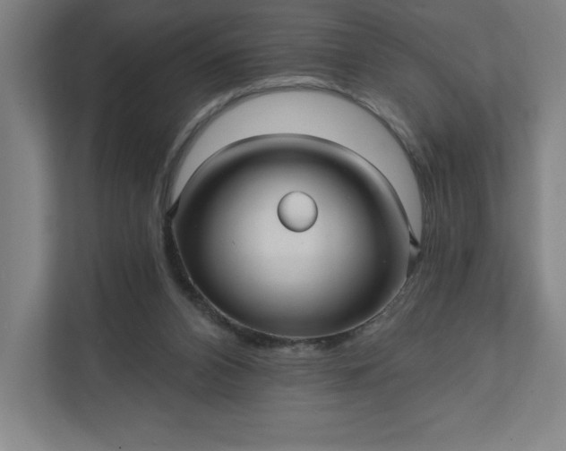 X0000112030112200908171459