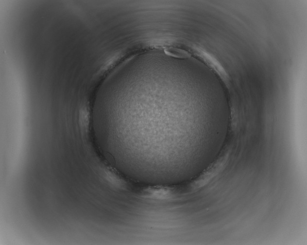 X0000112030113200908171459