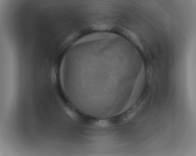 X0000112030114200908171459