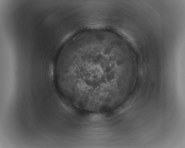 X0000112030115200908171459