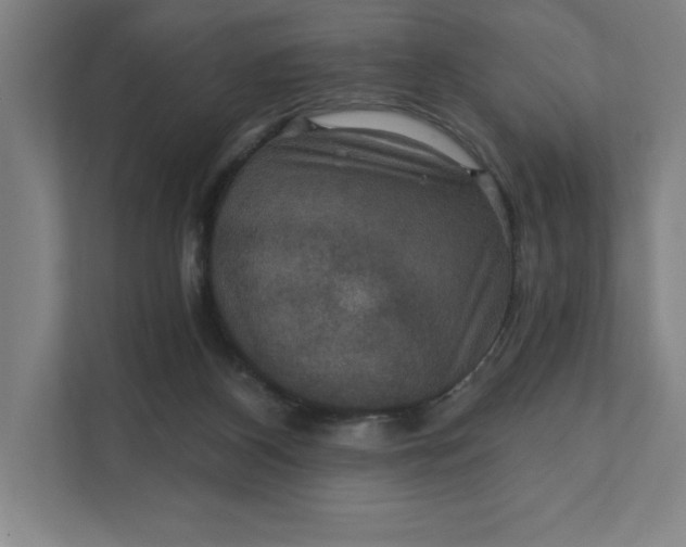 X0000112030116200908171459