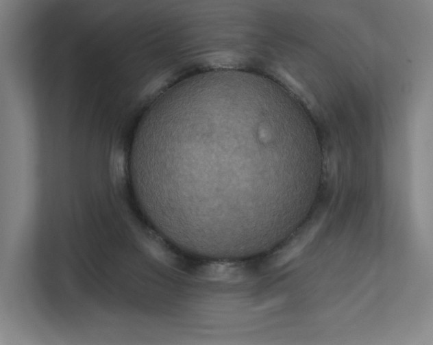 X0000112030117200908171459