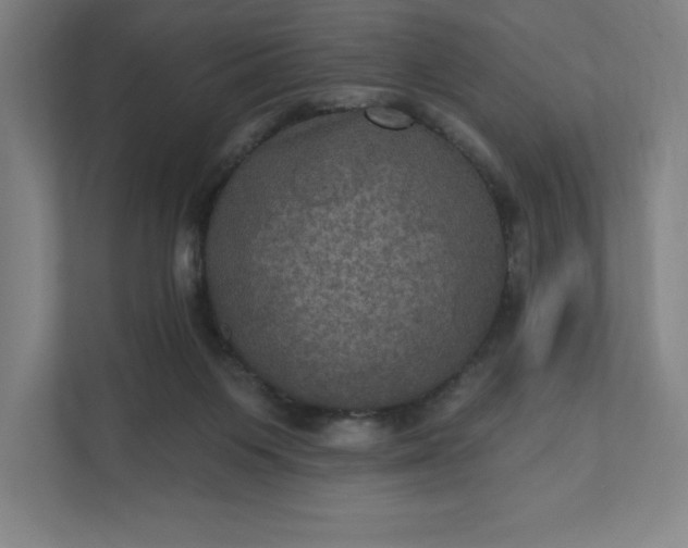 X0000112030119200908171459