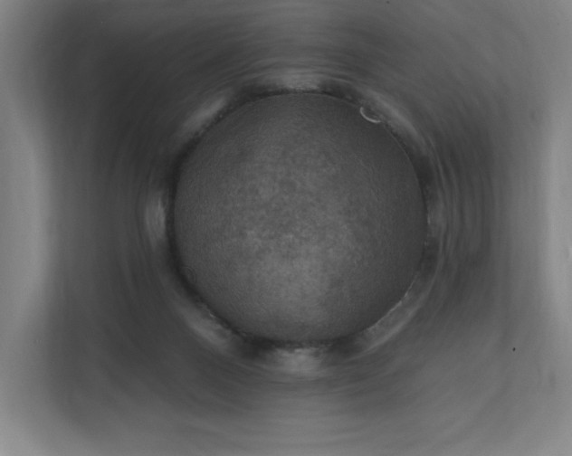 X0000112030120200908171459