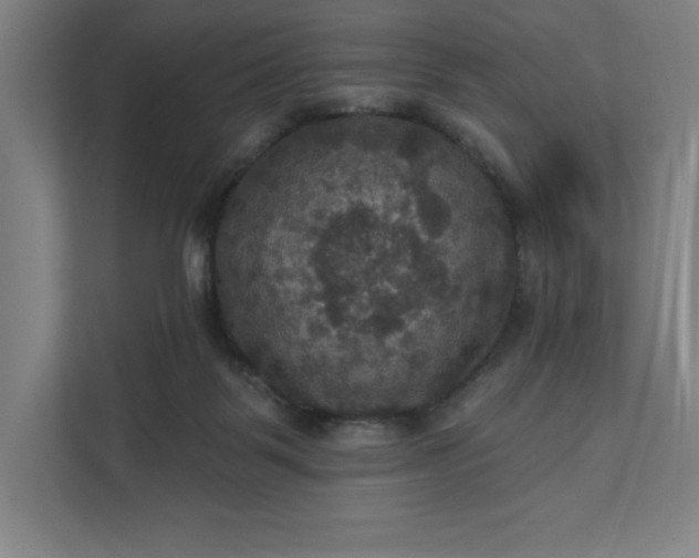 X0000112030123200908171458
