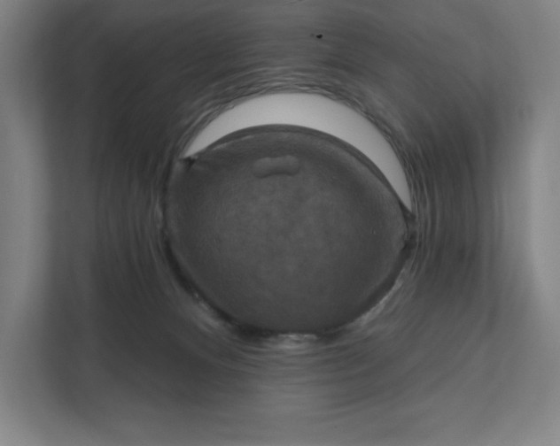 X0000112030128200908171458