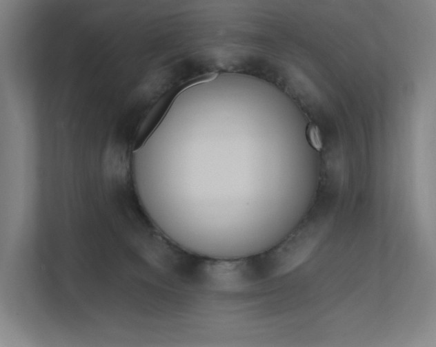 X0000112030129200908171458