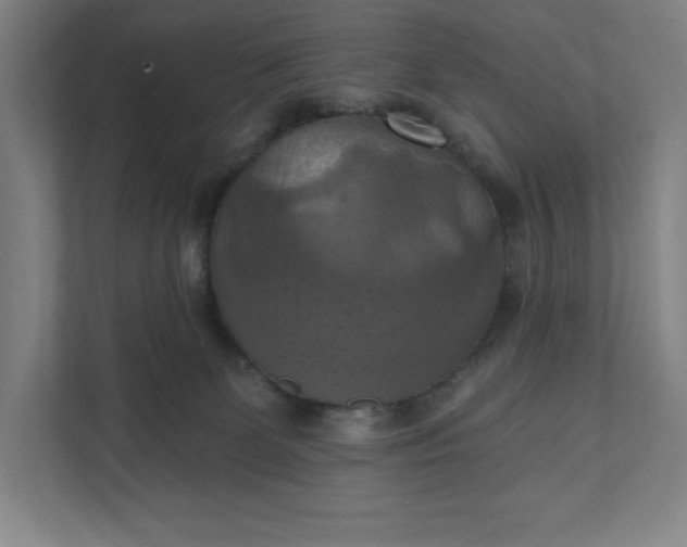 X0000112030131200908171458
