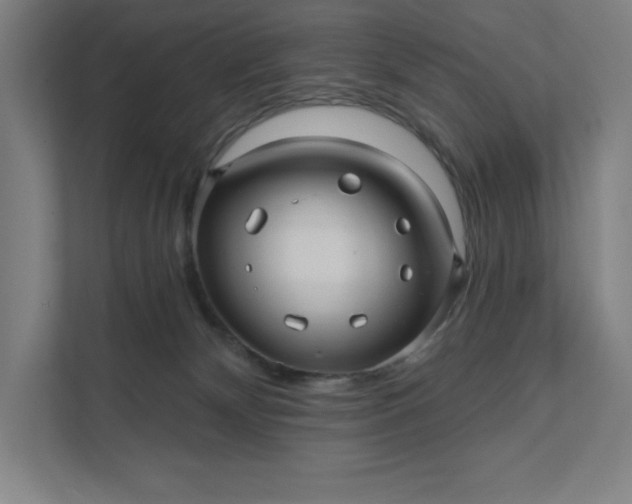 X0000112030132200908171458
