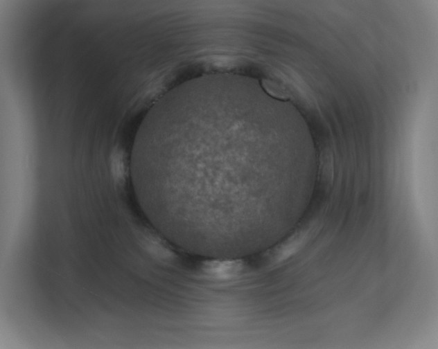 X0000112030135200908171458