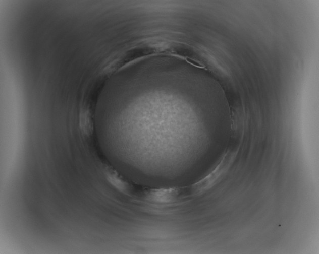 X0000112030136200908171458