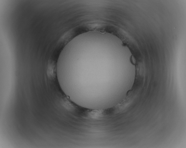 X0000112030138200908171458