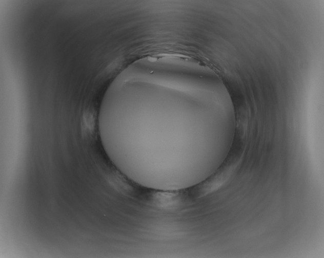 X0000112030139200908171458