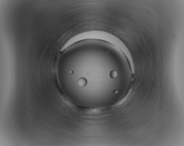 X0000112030140200908171458