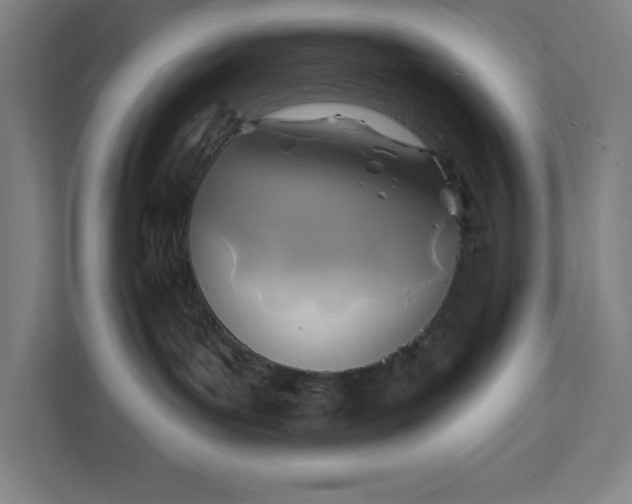 X0000112030143200908171458
