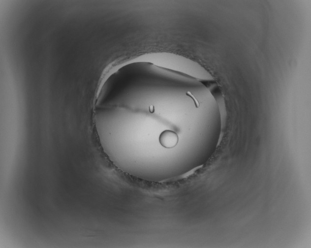 X0000112030144200908171458