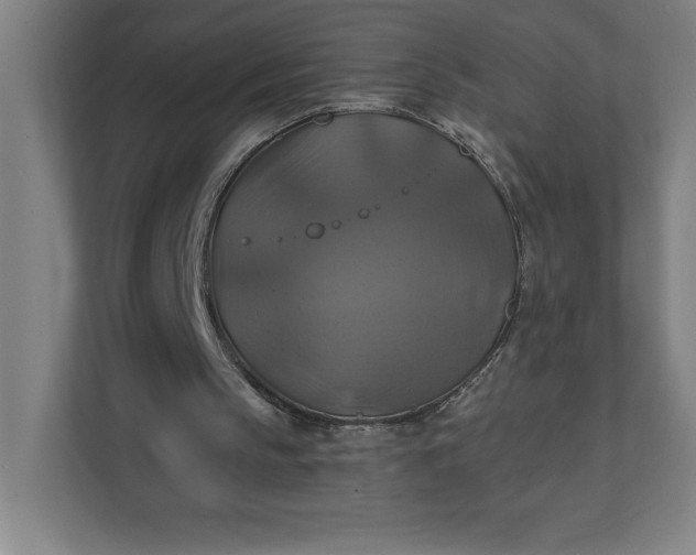 X0000112030145200908171458