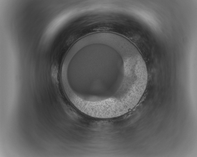 X0000112030146200908171458