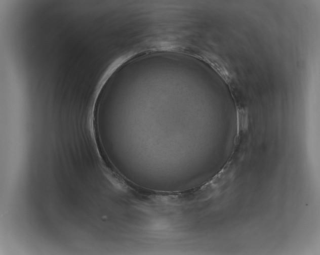 X0000112030147200908171458