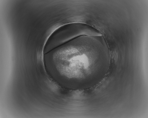X0000112030148200908171458