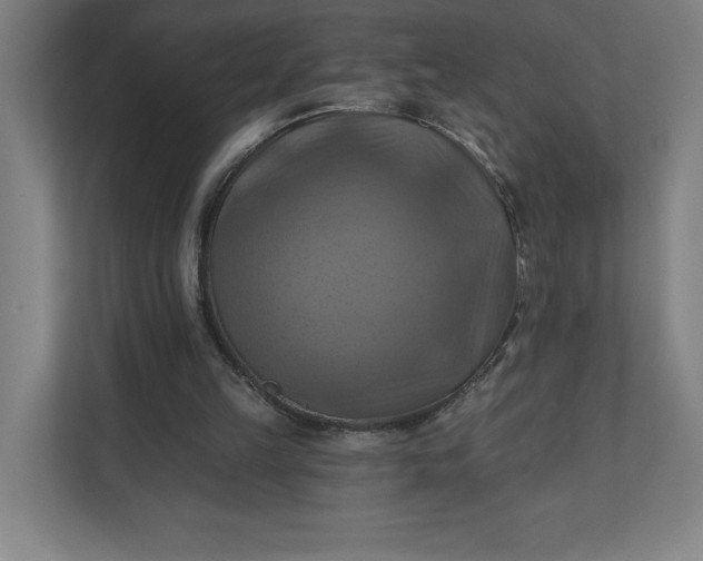 X0000112030149200908171458