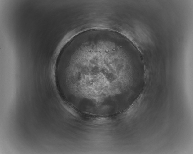 X0000112030151200908171458