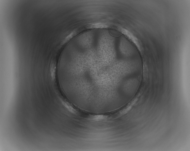 X0000112030153200908171458