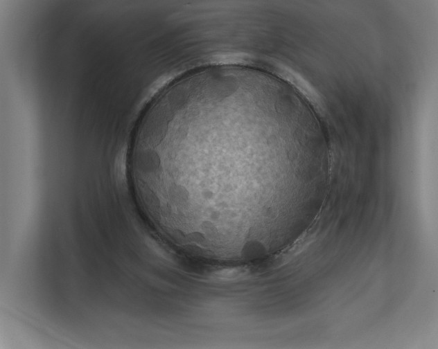 X0000112030155200908171458