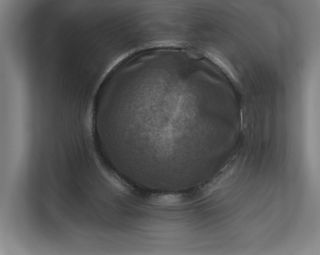 X0000112030156200908171458