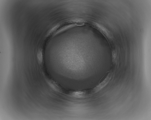 X0000112030158200908171458