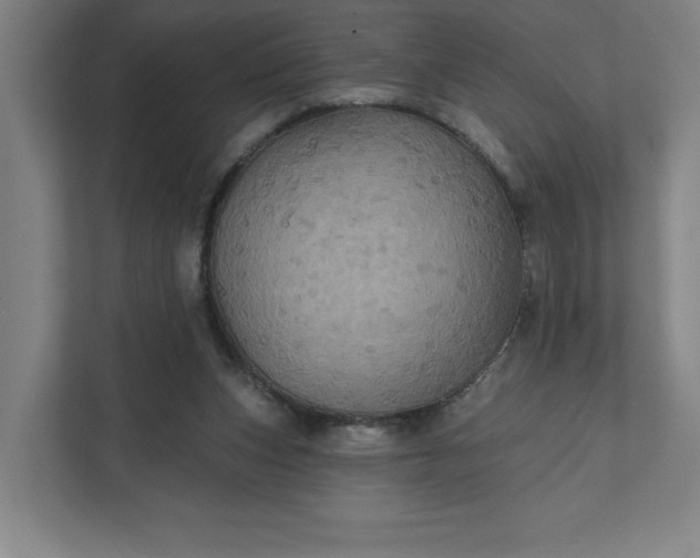 X0000112030159200908171458