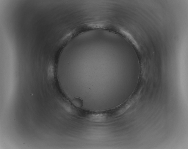 X0000112030161200908171458