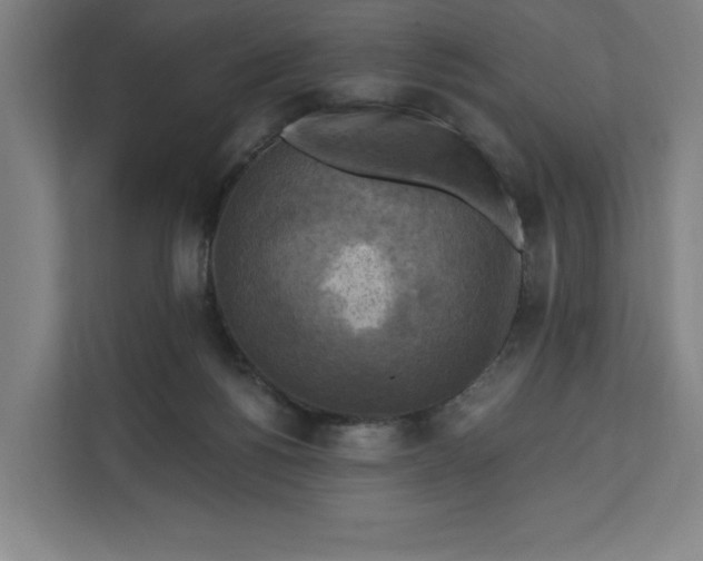 X0000112030168200908171458