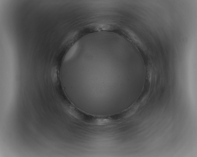 X0000112030169200908171458