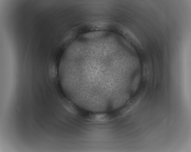 X0000112030173200908171458