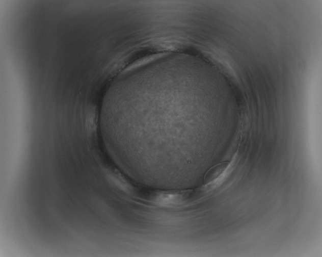 X0000112030174200908171458
