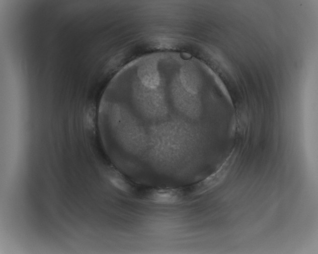 X0000112030175200908171458