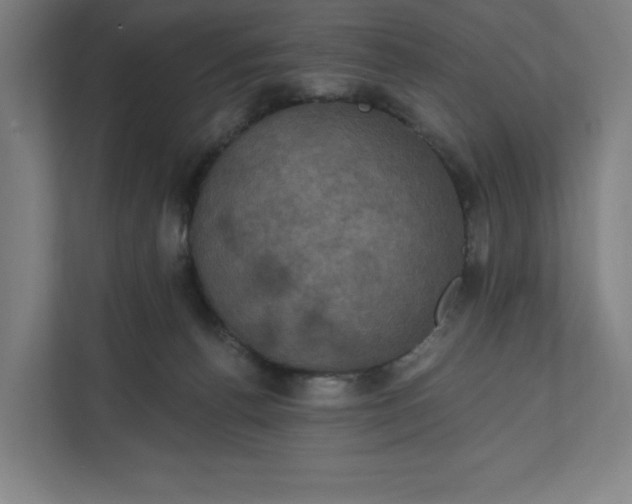 X0000112030176200908171458