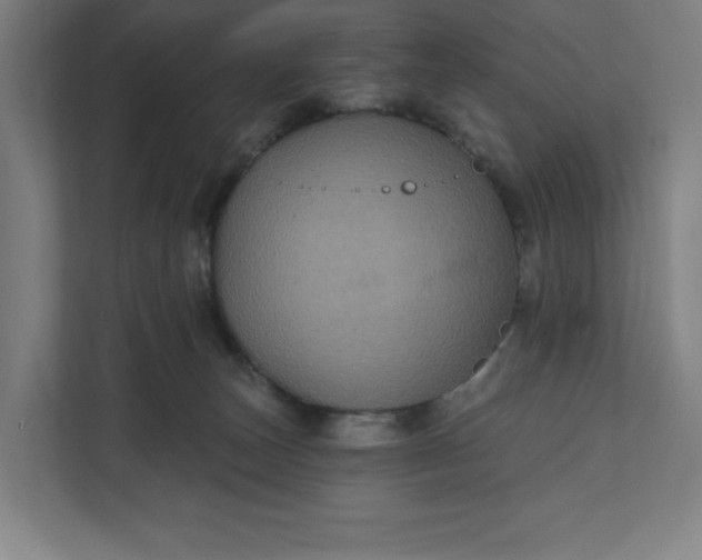 X0000112030179200908171458