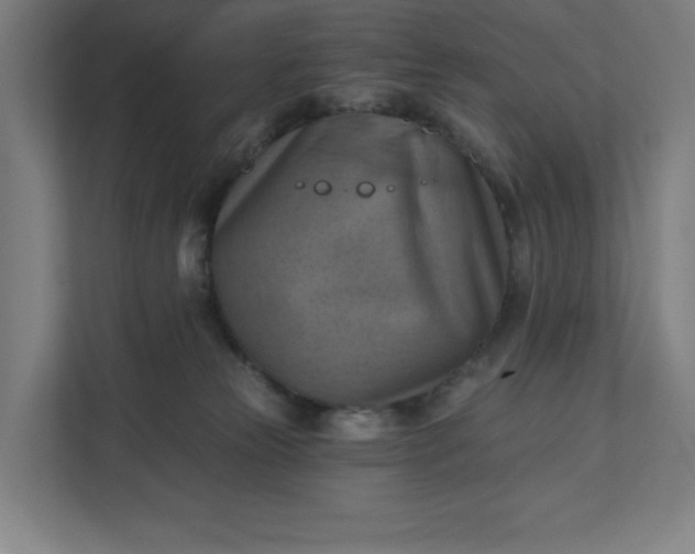 X0000112030181200908171458