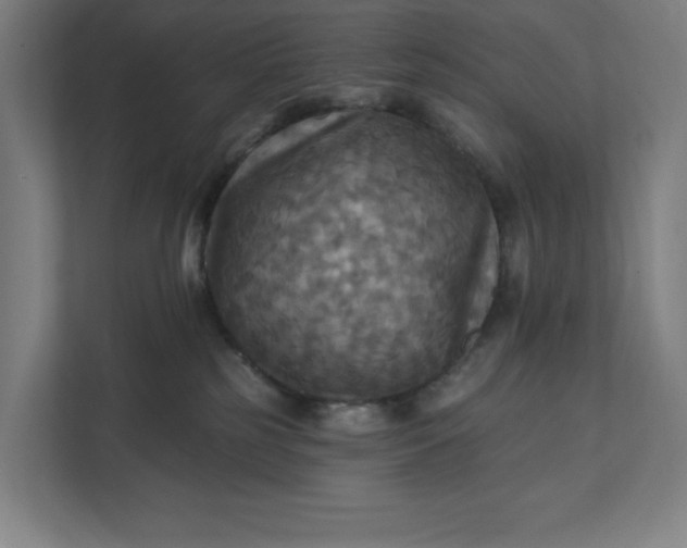 X0000112030185200908171458