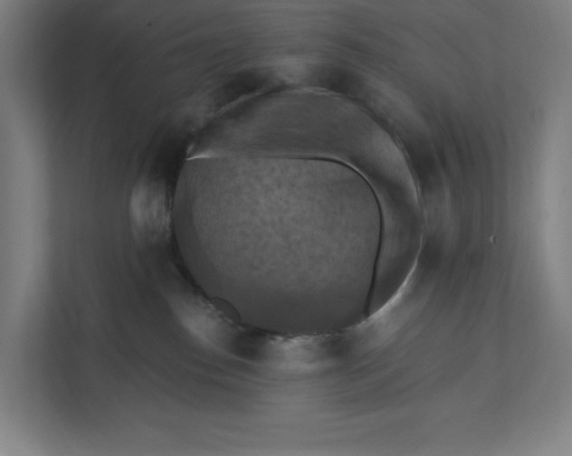 X0000112030186200908171458