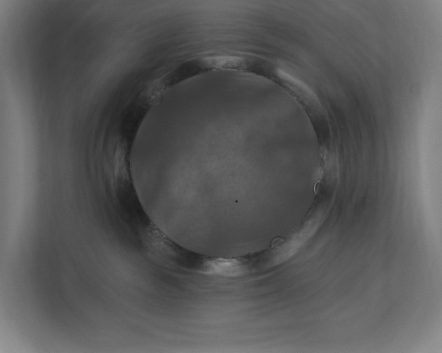 X0000112030189200908171458