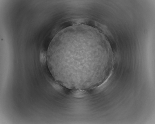 X0000112030191200908171458