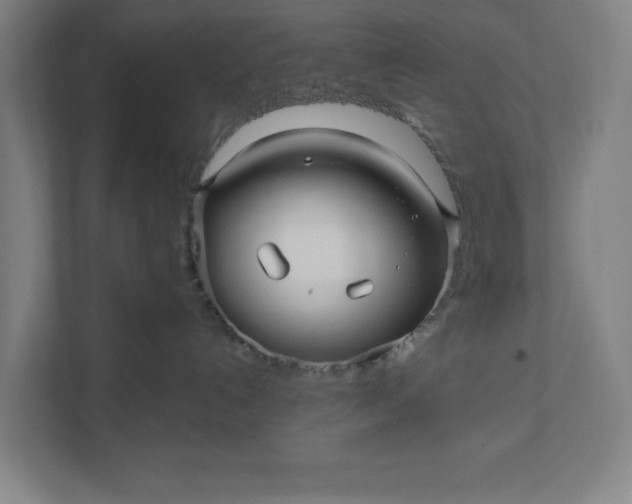 X0000112030192200908171458