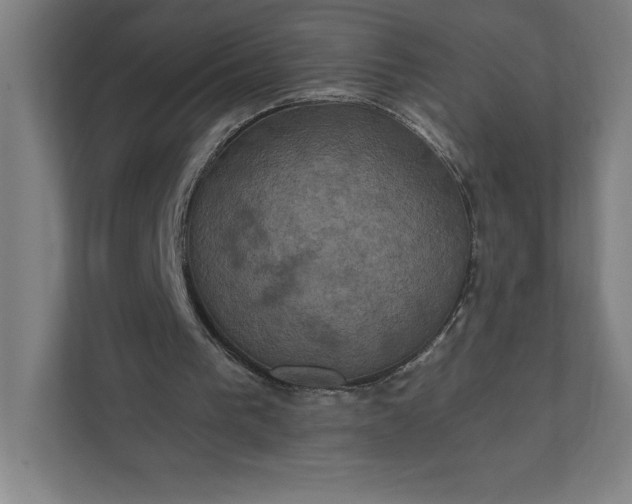 X0000112030193200908171458